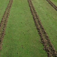Hollow tining