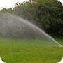 Lawn Irrigation & Watering Lawn Irrigation & Watering