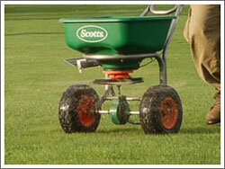 Spreading lawn sand Spreading lawn sand