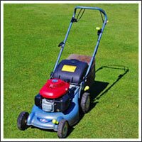 A rotary mower