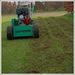 Scarifying a lawn